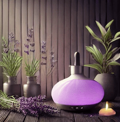 Snímek obrazovky 2025-03-12 v 15.27.30