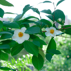 Snímek obrazovky 2025-03-12 v 16.02.06 Snímek obrazovky 2025-03-12 v 16.02.06