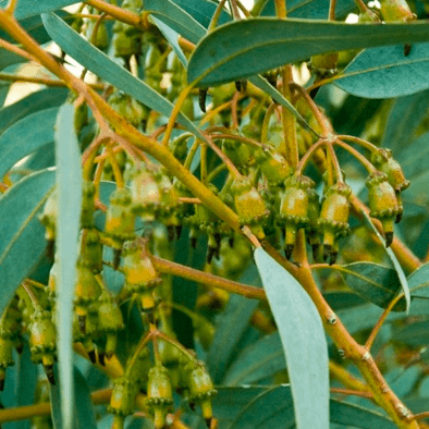 Snímek obrazovky 2025-03-12 v 16.19.08 Snímek obrazovky 2025-03-12 v 16.19.08