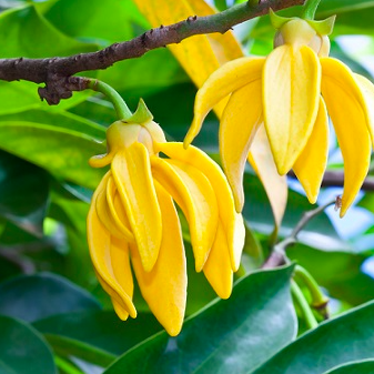 Snímek obrazovky 2025-03-12 v 16.43.37 Snímek obrazovky 2025-03-12 v 16.43.37