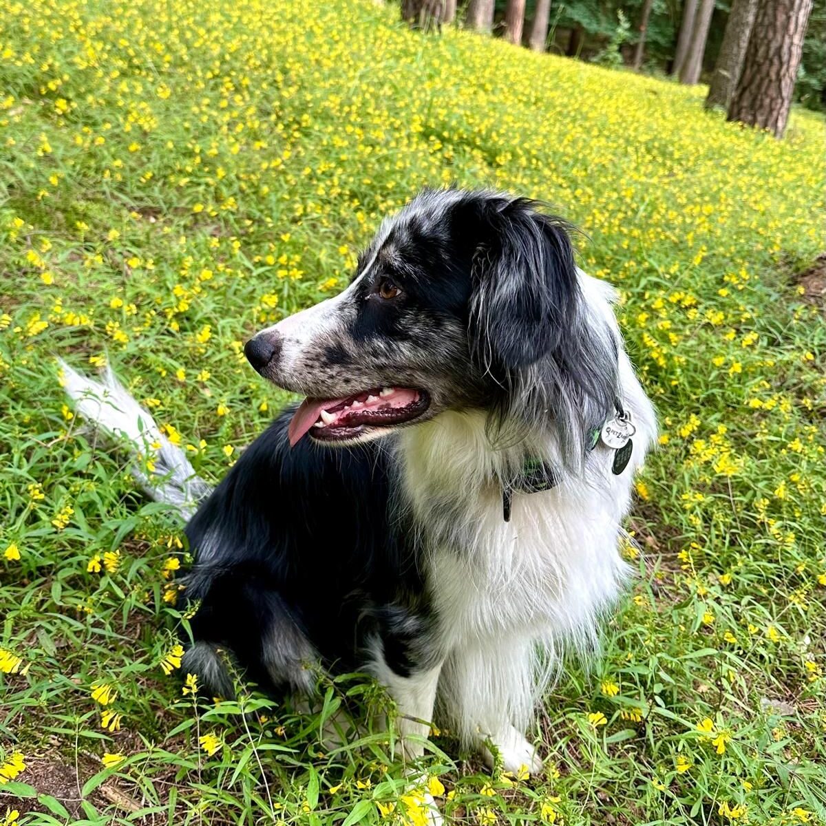 WhatsApp Image 2025-04-02 at 12.36.44 WhatsApp Image 2025-04-02 at 12.36.44